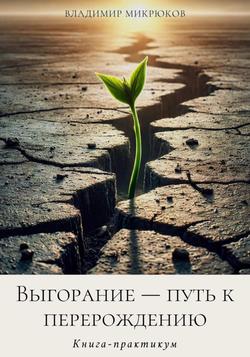 Читать Выгорание – путь к перерождению