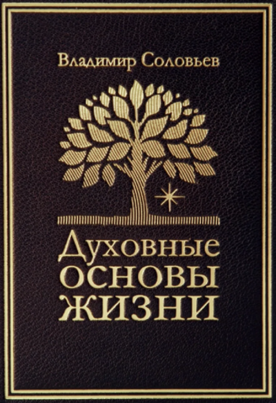Духовные основы жизни - Владимир Соловьев