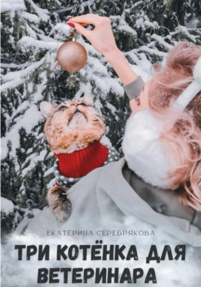 Три котёнка для ветеринара - Екатерина Серебрякова