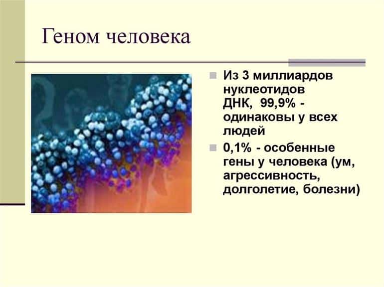 Самые важные медицинские открытия, которые спасли миллионы людей. Фото №12