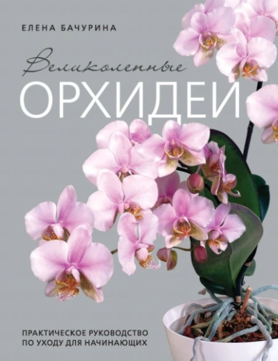 Великолепные орхидеи. Практичное руководство по уходу для начинающих - Елена Бачурина