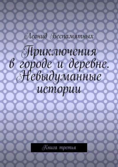Приключения в городе и деревне. Невыдуманные истории - Леонид Беспамятных
